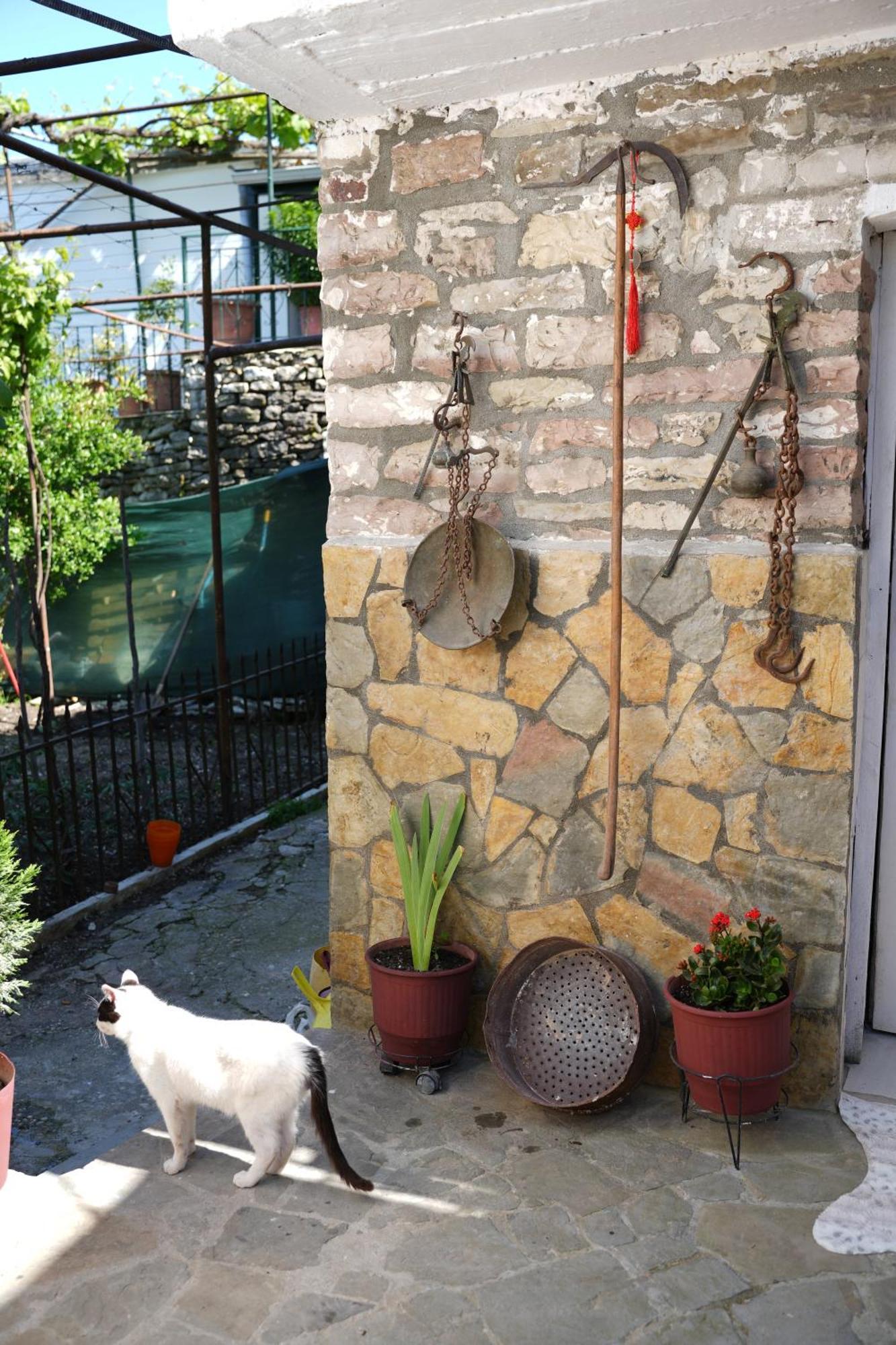 Guest House Denis Gjirokastër Exteriér fotografie